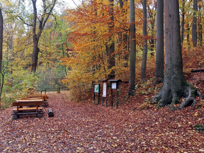 Rastplatz am Frstenbrunnen