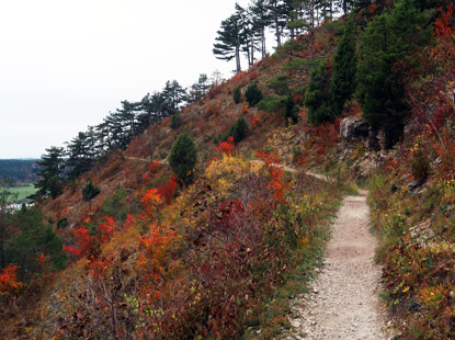 Hangweg Johannisberg