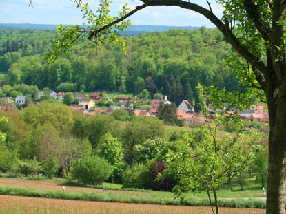 Blick vom Parkplatz Radheimer Turm auf den Ort Dorndiel