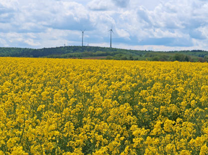 Panoramaweg zwichen Wartturm und dem Ort Radstein