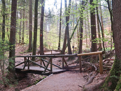 Weg durch die Obrunnschlucht im Odenwald