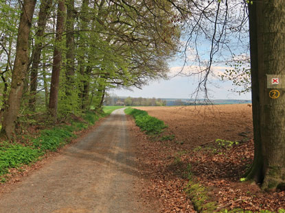 Wanderweg Seligentadt nach Bad Rappenau auf der Hochebene von Rimhorn