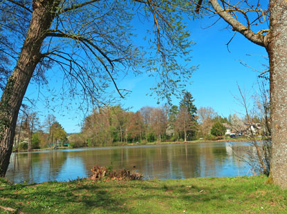 Groer See im Kurpark von Bad Knig