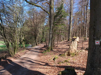 Wanderweg durch das