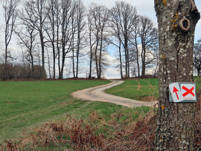 Wanderweg mit rotem Andreaskreuz beim Weiler Bullau