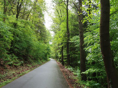 Asphaltierter Fahrweg von Zwingenberg in Richtung Neunkirchen