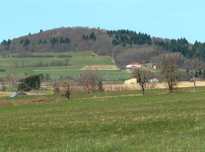 Die hchste Erhebung des Odenwaldes: Katzenbuckel