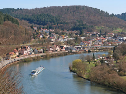 Blick von der Burg Zwingenberg auf den Neckar und den Ort