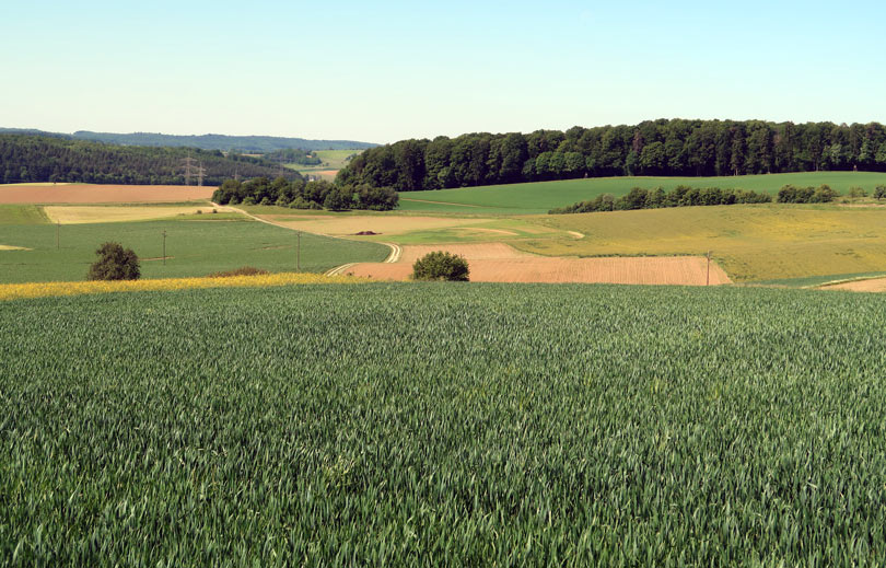 Wandern im Kraichgu, dem Land der 1.000 Hgel