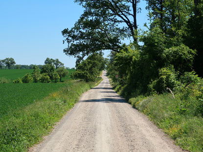 Wanderweg vor dem Helmhofer Forsthaus 