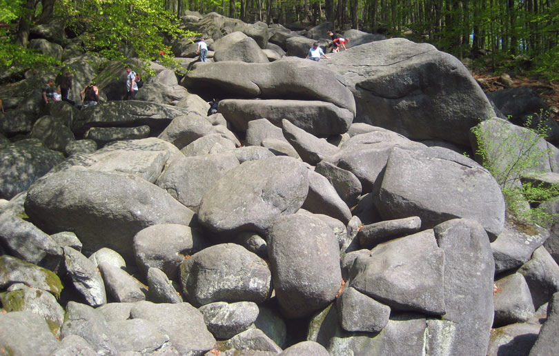 Felsen im Odenwlder Felsenmmer