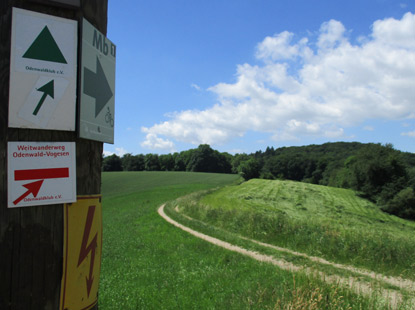 Vogensenweg auf dem Pass zwichen Schannnbachtal und Liebersbachertal