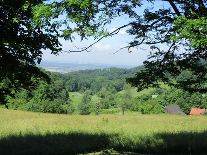 Blick vom Waldner-Turm (Vierritter-Turm) in die Rheinebene