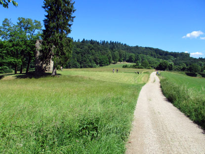 Vogesenweg am Waldner Turm im Odenwald