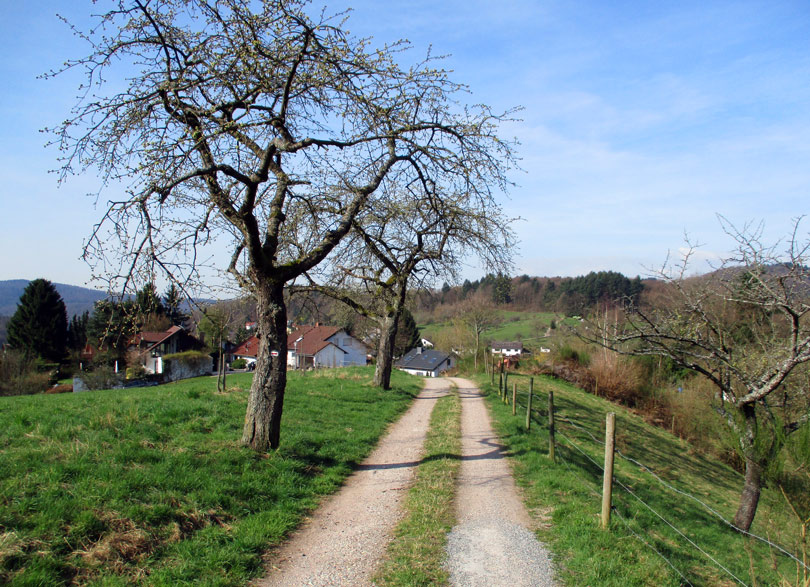 Brsbacherweg bei Altenbach