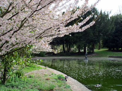 Weiher im Weinheimer Schlosspark