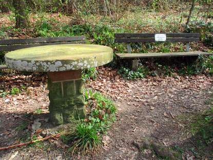 Zinkgrfen-Bank im Stadtwald von Weinheim