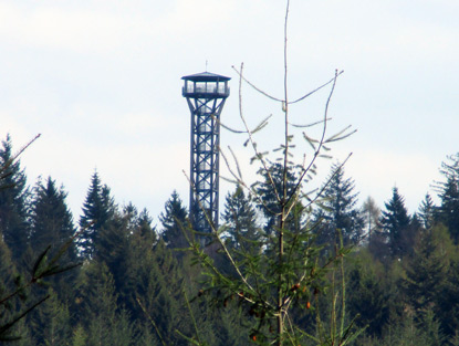 Der frei zuggnliche Teltschickturm in Wilhelmsfeld