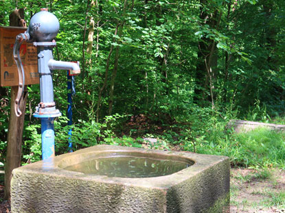 Vogesenweg: Wasserpumpe bei Bergwald 