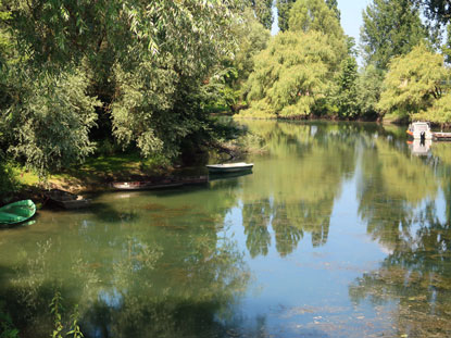 Der Altrhein am Rheinstrandbad Rappenwrt