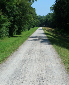 Der Dammweg in der BNhe vom Neuburger Zollhaus
