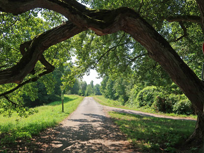 Vogesenweg im Stadtteil Daxlanden in der Nhe der Altrheinbrcke