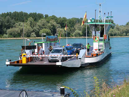 Die Fortsetzung des Vogesenwegs ist auf der gegenberliegenden Rheinseite (Pflzer Seite) 