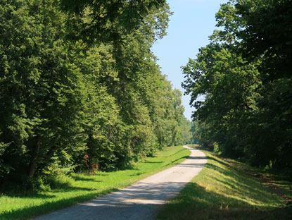 Vogesenweg auf dem Rheinhochwasserdamm 