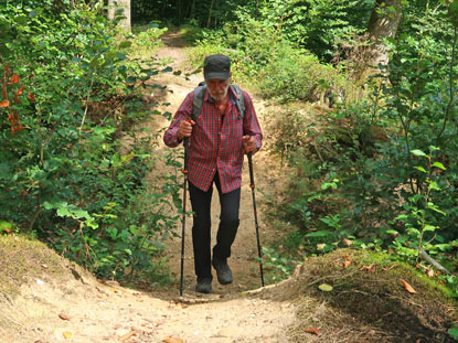 Der Vogesenweg (Lauterlinie) entlang dem Fluss Lauter ist nur rund 1 m bfreit und immer wieder durch kleine steile Ab-und Aufstiege unterbrochen