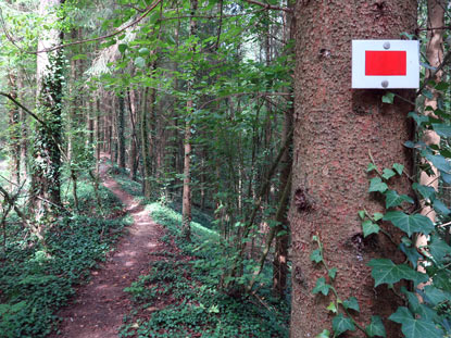 Der Sentier de Lignes de la Lauter. Auf dem Kamm des Erdwalls fhrt der  "Vogensenweg (GR 53) nach Wissembourg   