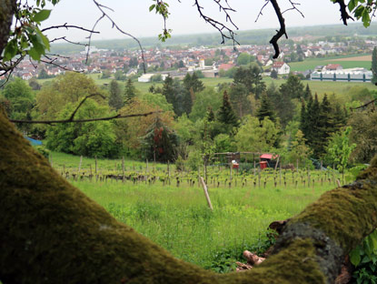 Blick auf unser nchstes Wanderziel: der Ort Weingarten im Kraichgau