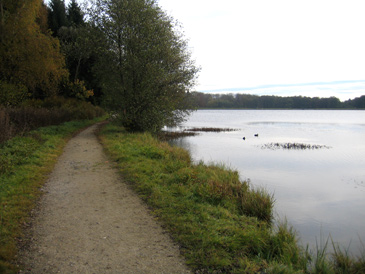 Heisterberger Weiher: Westerwaldsteig fhrt entlang dem Weiher.