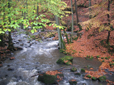 Am Ende der Holzbachschlucht.