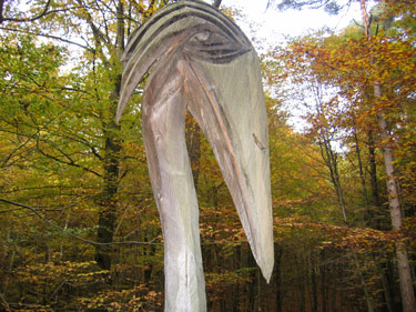 Kunst im Wald: der Knstler Peter Lang hat diesen Holzvogel direkt am Westerwaldsteig geschaffen