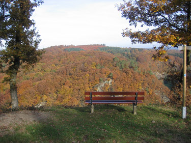 Aussichtspunkt Mettelshahner Schweiz