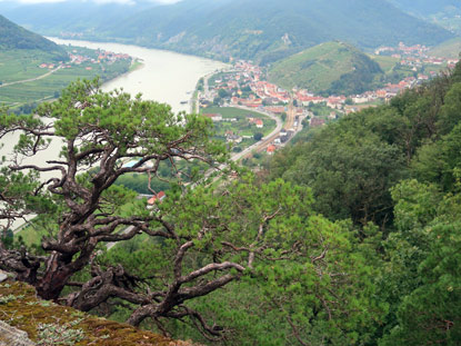 Welterbesteig Wachau: Blick vom Michaelerberg auf Spitz an der Donau