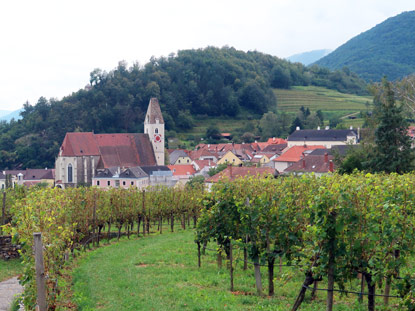 Wlterbesteig Wachau: Blick auf die Kirche Hl. Mauritius in Spitz