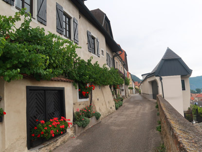 Welterbesteig Wachau: Wanderweg durch Weienkirchen