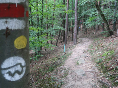 Welterbesteig Wachau: Wanderweg nah Spitz