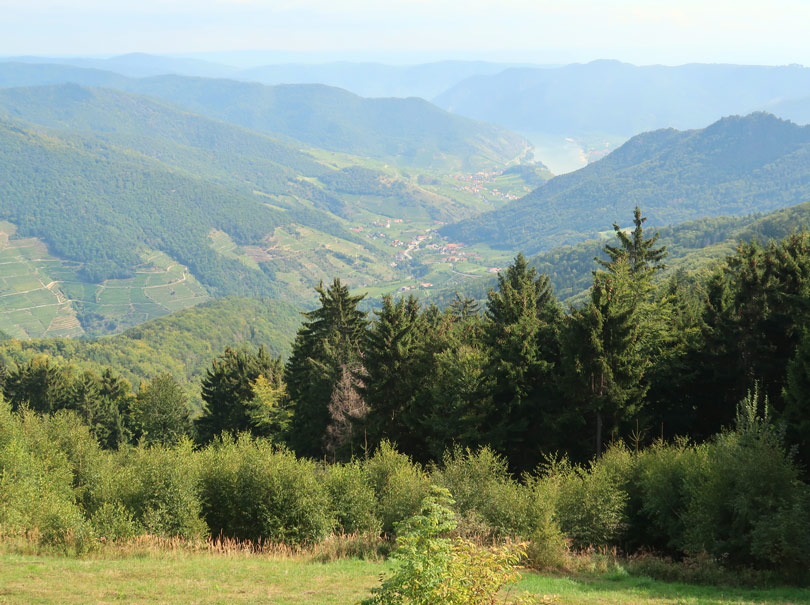 Ausblick vom Jauerling auf den Spitzer Graben