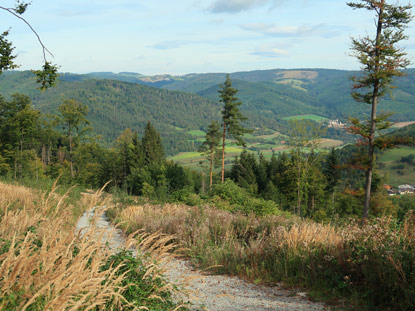 Der Welterbesteig oberhalb von Thurn