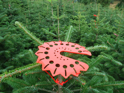 Christbaum mit Vogelstbe soll die Spitzen vor Vgel schtzen