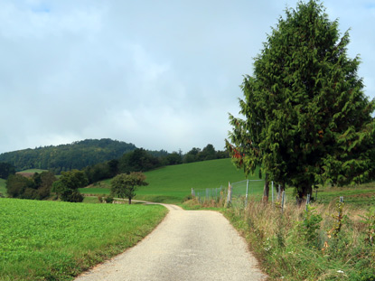 Welterbesteig bei Litzendorf