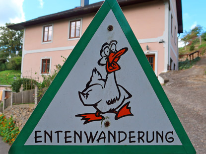 Vorsicht vor Enten