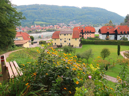 Blick auf die Donazterrassen im Ort Aggstein Dorf