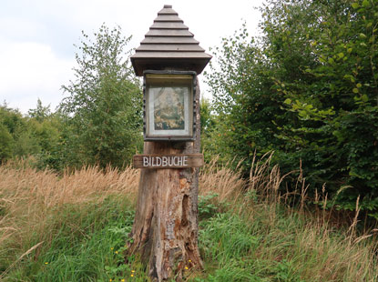 Bildbuche mit einem Rastplatz  auf dem Weg nach Aggstein Dorf