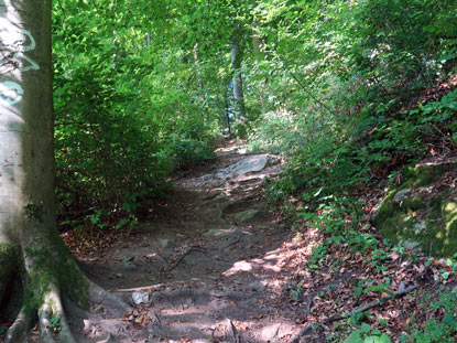 Der historische Eselsteig zur Burgruine Aggstein