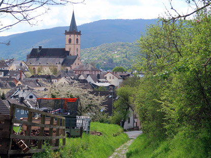 Mit einem krftigen Aufstieg zur Burg Nollig beginnt der Wisper-Glcksweg