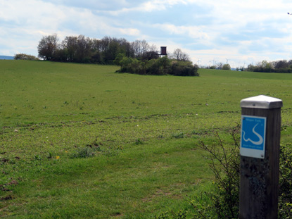 Engweger Kopf - ein Naturshutzgebiet fr Wrme liebende  Pflanzen  und Tiere.