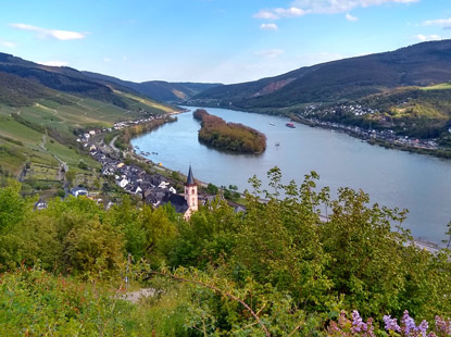 Rhein-Esperblick auf Lorch, den Rhein und die Insel Lorcher Werth